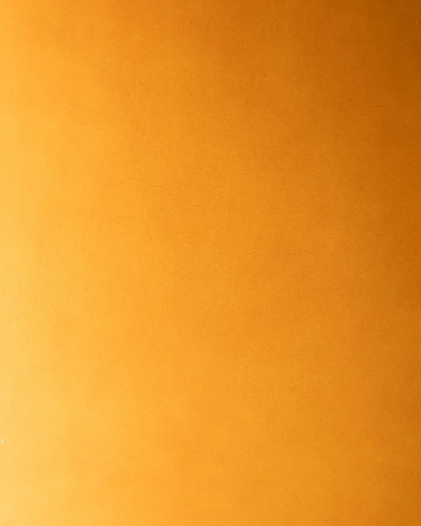 7 camel.webp