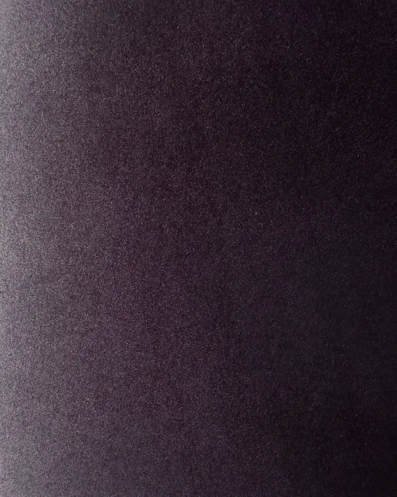 12 pu.webp