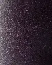 12 pu.webp