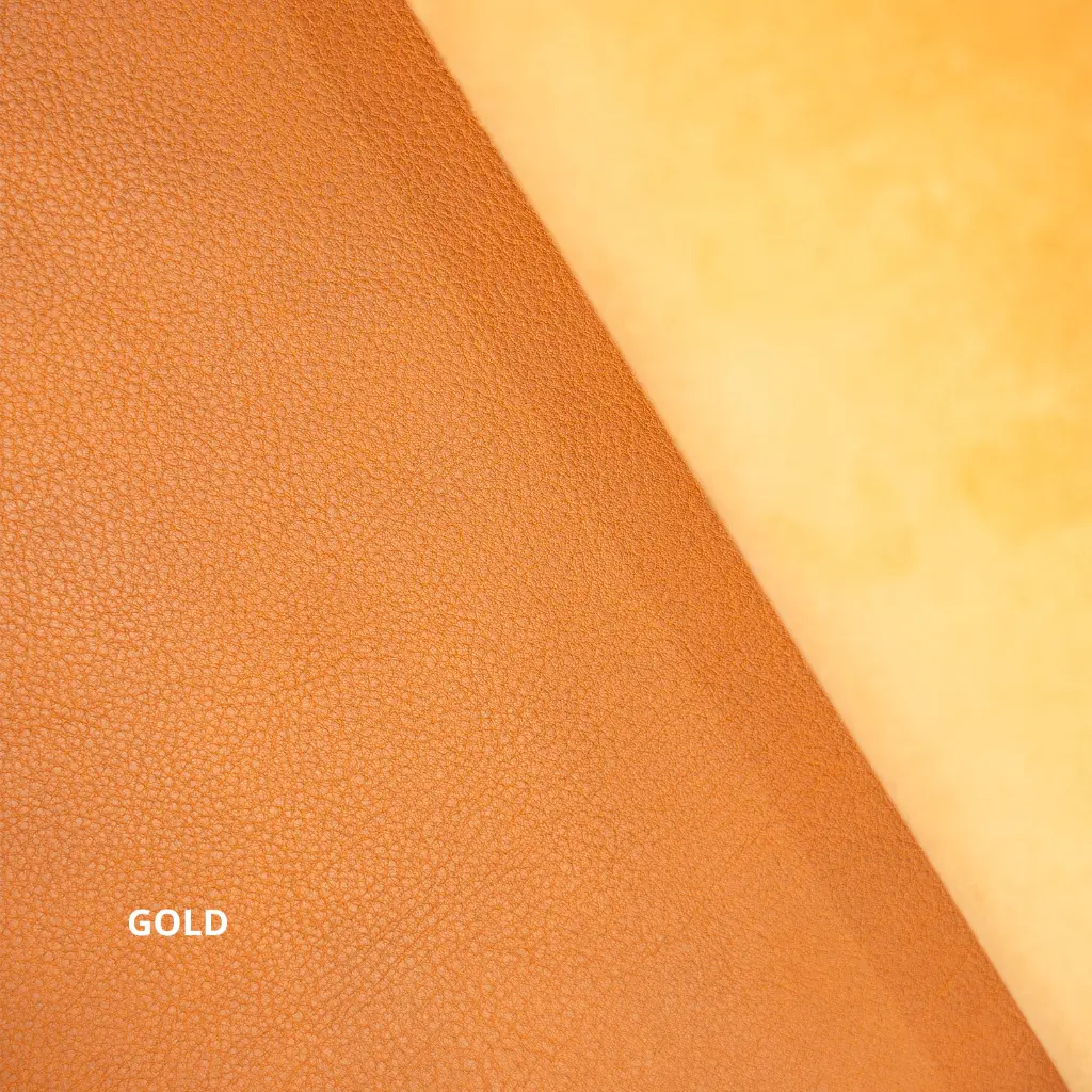 KOALA color Gold.webp