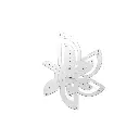 Nattools Pembaris Hujung Tali